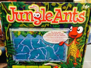 kidsholidaysjungleants