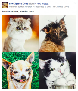 Screen Shot 2016-07-15 at 10.34.15 AM